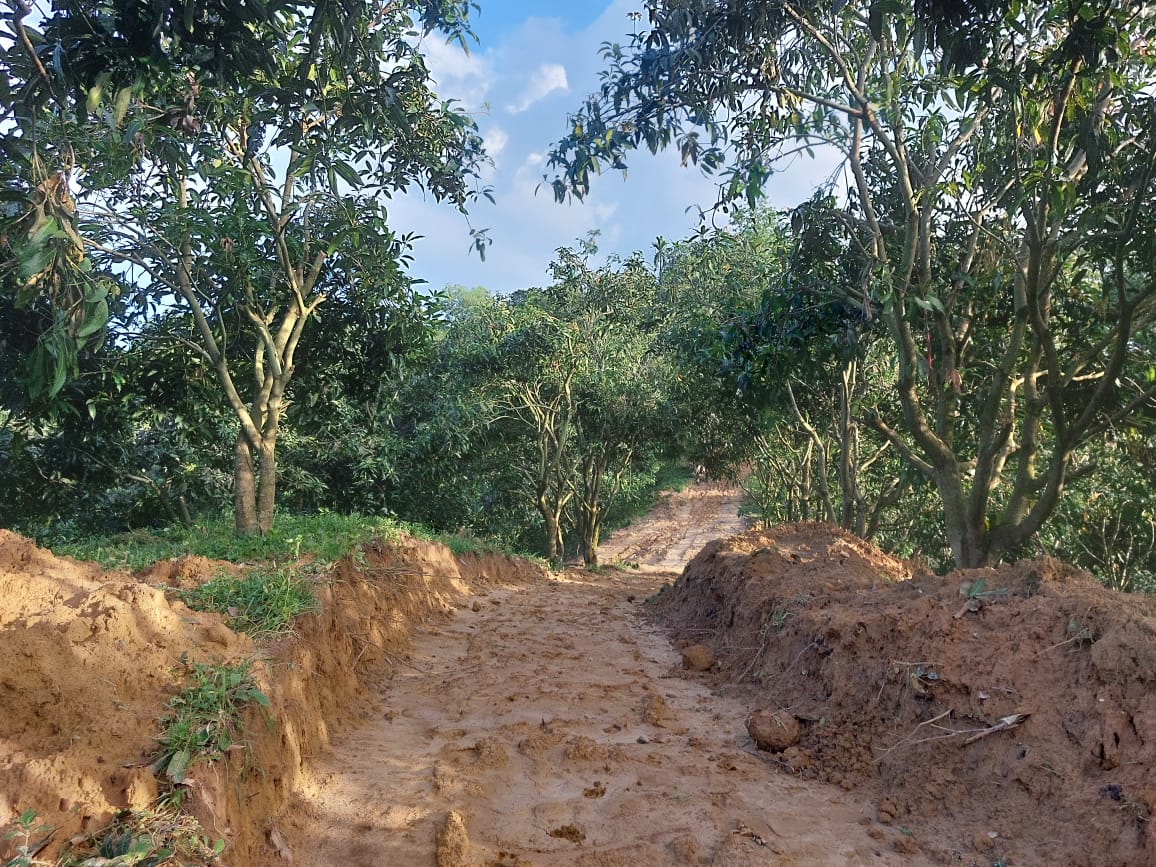 First Image