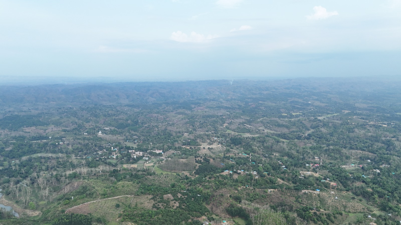 First Image